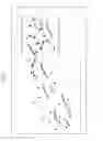 Fig. 02 - Motor protein device