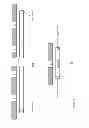Fig. 19 - Integrated illumination of optical analytical devices