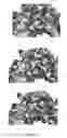 Fig. 02 - Compounds binding to the bacterial beta ring