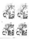 Fig. 06 - Compounds binding to the bacterial beta ring