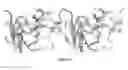Fig. 07 - Compounds binding to the bacterial beta ring