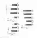 Fig. 04 - Extracellular matrix-binding synthetic peptidoglycans