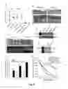 Fig. 07 - PTD-SMAD7 therapeutics