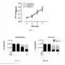 Fig. 02 - Compositions and Methods for Increasing Stem Cell Survival