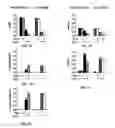Fig. 04 - Compositions and Methods for Increasing Stem Cell Survival