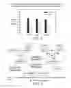 Fig. 05 - Compositions and Methods for Increasing Stem Cell Survival