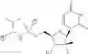 Fig. 45 - Nucleoside phosphoramidate prodrugs