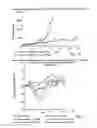 Fig. 08 - Cyclodextrin-based polymers for therapeutics delivery