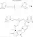 Fig. 71 - Cyclodextrin-based polymers for therapeutics delivery