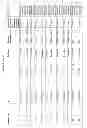 Fig. 04 - CYCLODEXTRIN-BASED POLYMERS FOR THERAPEUTICS DELIVERY