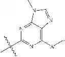 Fig. 110 - CYCLODEXTRIN-BASED POLYMERS FOR THERAPEUTICS DELIVERY