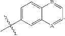 Fig. 116 - CYCLODEXTRIN-BASED POLYMERS FOR THERAPEUTICS DELIVERY