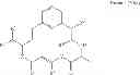 Fig. 127 - CYCLODEXTRIN-BASED POLYMERS FOR THERAPEUTICS DELIVERY