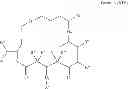 Fig. 134 - CYCLODEXTRIN-BASED POLYMERS FOR THERAPEUTICS DELIVERY