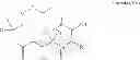 Fig. 135 - CYCLODEXTRIN-BASED POLYMERS FOR THERAPEUTICS DELIVERY