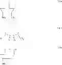 Fig. 146 - CYCLODEXTRIN-BASED POLYMERS FOR THERAPEUTICS DELIVERY