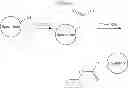 Fig. 178 - CYCLODEXTRIN-BASED POLYMERS FOR THERAPEUTICS DELIVERY