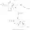 Fig. 217 - CYCLODEXTRIN-BASED POLYMERS FOR THERAPEUTICS DELIVERY