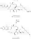 Fig. 236 - CYCLODEXTRIN-BASED POLYMERS FOR THERAPEUTICS DELIVERY