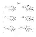 Fig. 43 - CYCLODEXTRIN-BASED POLYMERS FOR THERAPEUTICS DELIVERY