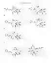 Fig. 44 - CYCLODEXTRIN-BASED POLYMERS FOR THERAPEUTICS DELIVERY