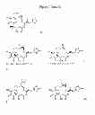 Fig. 47 - CYCLODEXTRIN-BASED POLYMERS FOR THERAPEUTICS DELIVERY