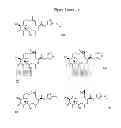 Fig. 48 - CYCLODEXTRIN-BASED POLYMERS FOR THERAPEUTICS DELIVERY