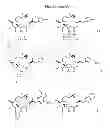 Fig. 49 - CYCLODEXTRIN-BASED POLYMERS FOR THERAPEUTICS DELIVERY