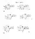 Fig. 50 - CYCLODEXTRIN-BASED POLYMERS FOR THERAPEUTICS DELIVERY