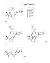 Fig. 52 - CYCLODEXTRIN-BASED POLYMERS FOR THERAPEUTICS DELIVERY