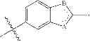Fig. 82 - CYCLODEXTRIN-BASED POLYMERS FOR THERAPEUTICS DELIVERY