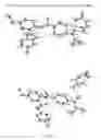 Fig. 06 - Pharmaceutical salts and polymorphs of a factor Xa inhibitor