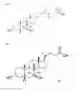 Fig. 03 - Compositions for improving cell viability and methods of use thereof