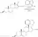 Fig. 28 - NOVEL COMPOSITIONS AND METHODS FOR TREATING PROSTATE CANCER