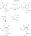 Fig. 29 - FUNGICIDAL PYRAZOLES