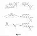 Fig. 02 - Therapeutic methods and agents for treating myotonic dystrophy