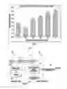 Fig. 04 - Methods for the treatment of cardiovascular conditions