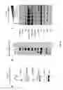 Fig. 28 - USE OF TRANSLATIONAL PROFILING TO IDENTIFY TARGET MOLECULES FOR THERAPEUTIC TREATMENT