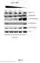 Fig. 44 - USE OF TRANSLATIONAL PROFILING TO IDENTIFY TARGET MOLECULES FOR THERAPEUTIC TREATMENT