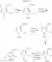 Fig. 65 - PRMT1 inhibitors and uses thereof