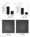 Fig. 02 - COMPOSITIONS AND METHODS FOR TREATING OCULAR EDEMA, NEOVASCULARIZATION AND RELATED DISEASES