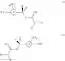 Fig. 09 - TREATMENT OF AMYLOIDOSIS BY COMPOUNDS THAT REGULATE RETROMER STABILIZATION