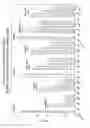 Fig. 30 - RNA INTERFERENCE MEDIATED INHIBITION OF GENE EXPRESSION USING CHEMICALLY MODIFIED SHORT INTERFERING NUCLEIC ACID (siNA)