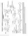 Fig. 47 - RNA INTERFERENCE MEDIATED INHIBITION OF GENE EXPRESSION USING CHEMICALLY MODIFIED SHORT INTERFERING NUCLEIC ACID (siNA)