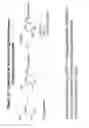 Fig. 48 - RNA INTERFERENCE MEDIATED INHIBITION OF GENE EXPRESSION USING CHEMICALLY MODIFIED SHORT INTERFERING NUCLEIC ACID (siNA)