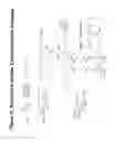 Fig. 72 - RNA INTERFERENCE MEDIATED INHIBITION OF GENE EXPRESSION USING CHEMICALLY MODIFIED SHORT INTERFERING NUCLEIC ACID (siNA)