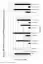 Fig. 95 - RNA INTERFERENCE MEDIATED INHIBITION OF GENE EXPRESSION USING CHEMICALLY MODIFIED SHORT INTERFERING NUCLEIC ACID (siNA)