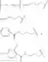Fig. 97 - RNA INTERFERENCE MEDIATED INHIBITION OF GENE EXPRESSION USING CHEMICALLY MODIFIED SHORT INTERFERING NUCLEIC ACID (siNA)