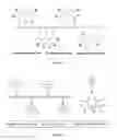 Fig. 02 - Dendronized polymers for nucleic acid delivery