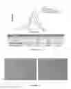 Fig. 09 - Dendronized polymers for nucleic acid delivery